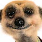 Tom Profile Picture
