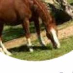 Sandra Profile Picture