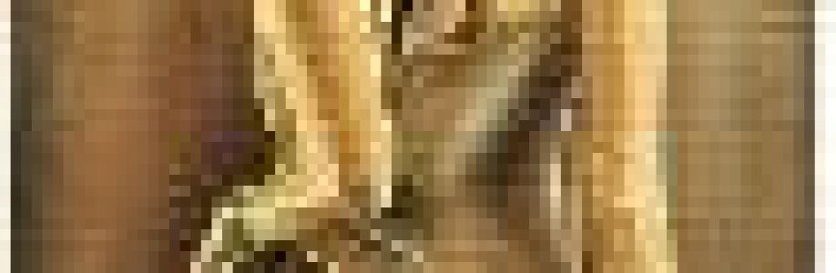 elin Cover Image