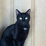 Maxine Profile Picture