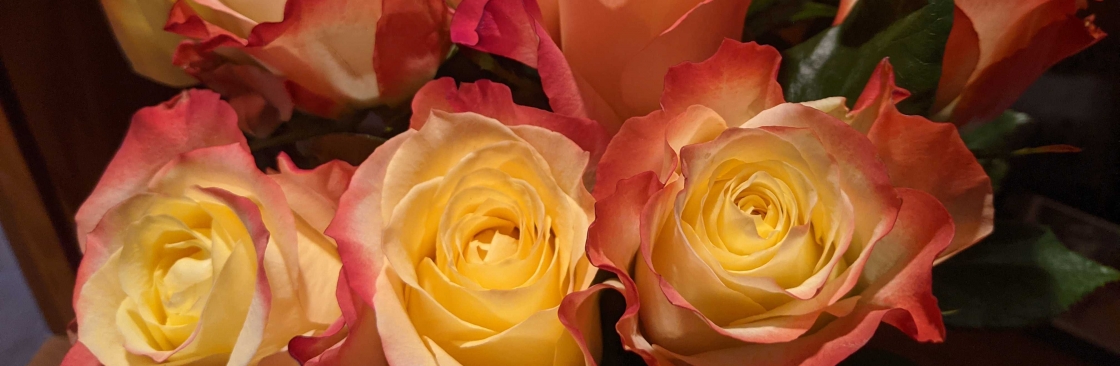 T Cover Image