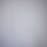 Alex Profile Picture