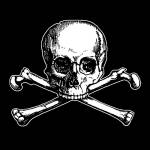 punisher88 Profile Picture