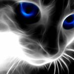Boop Profile Picture