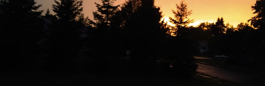 Kevin Cover Image