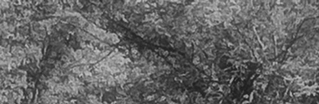poisonbaby Cover Image