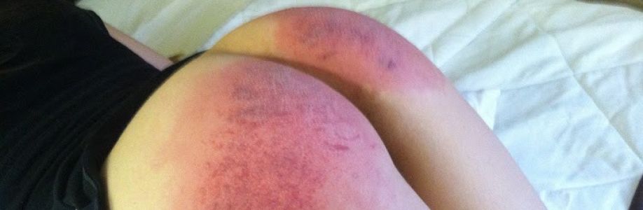 katie Cover Image