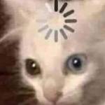 Gem Profile Picture