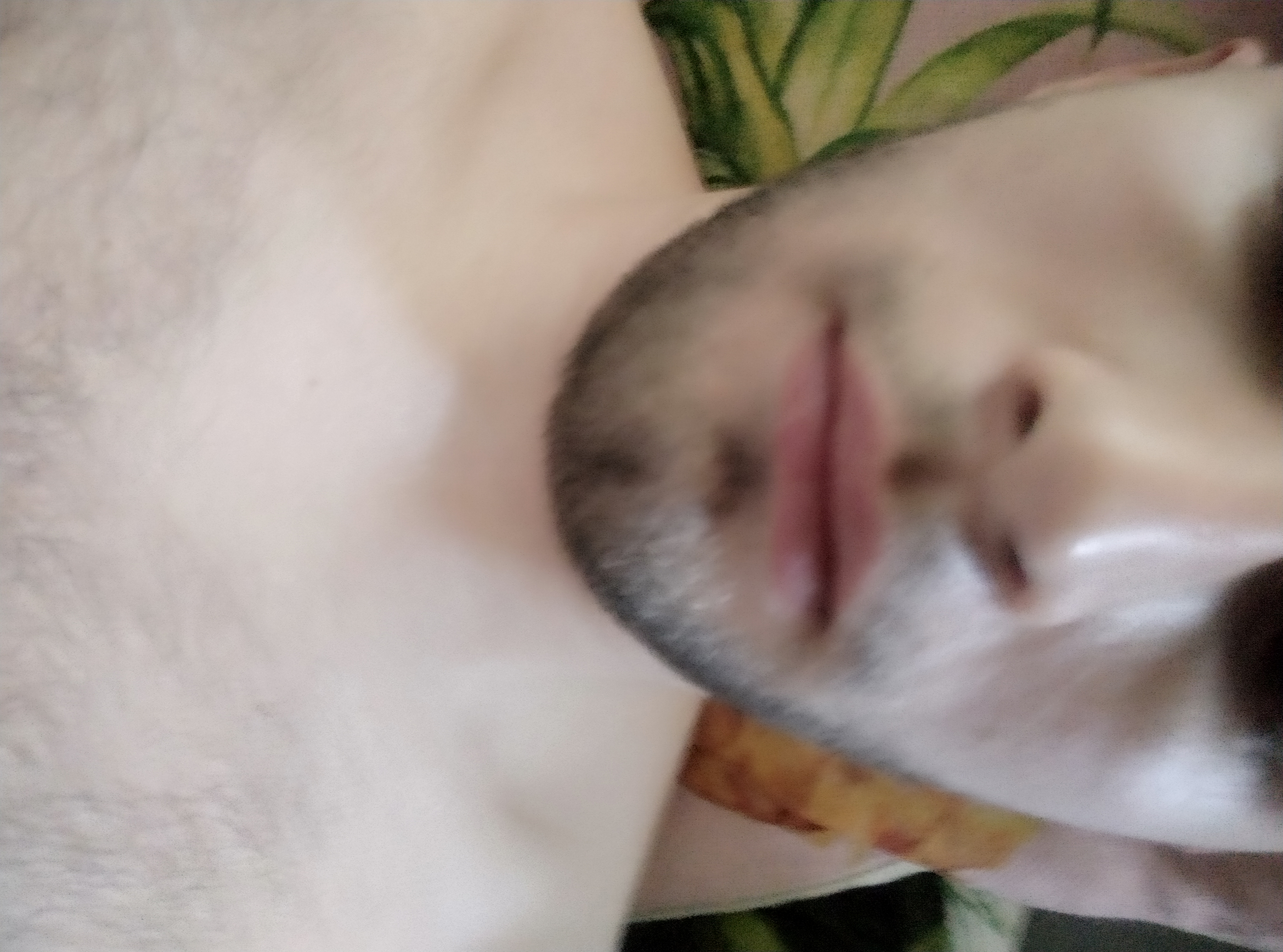 Robert Profile Picture
