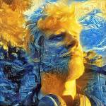 Casimir Profile Picture