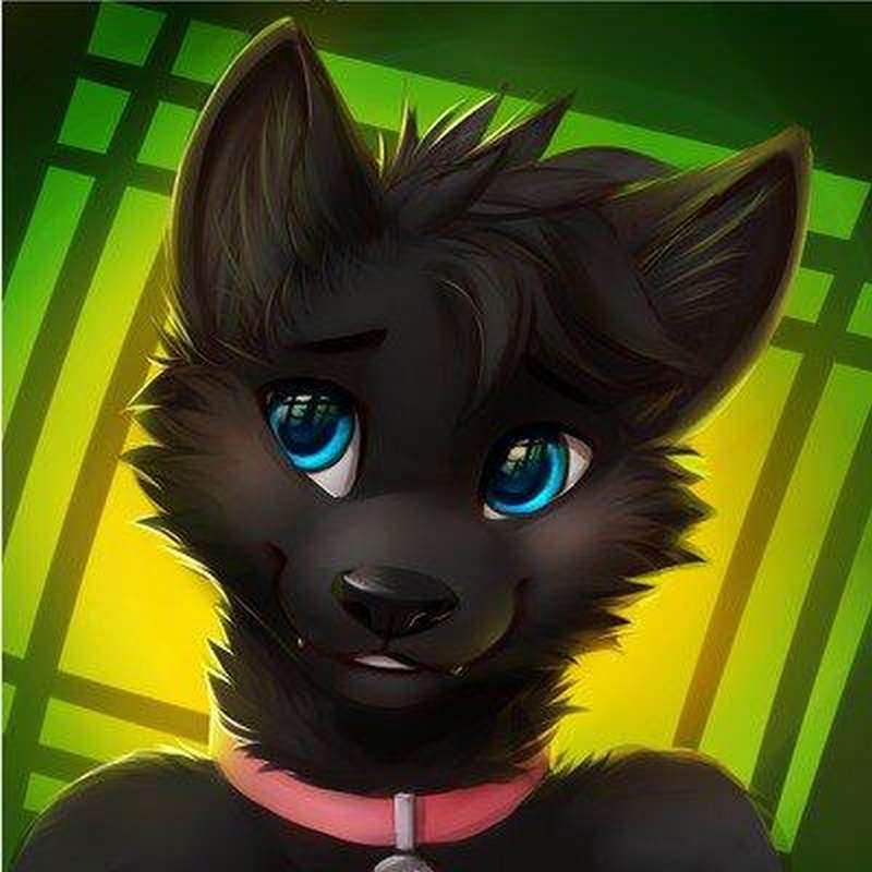 tender_bottom_4_otk Profile Picture